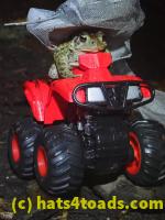 /home//u458753944/public_html/sourcegallery//McKaig Nature Center/2020-10-11/PA110738.JPG